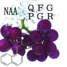 CAS 86-87-3 Ácido α-naftilacético (NAA)
